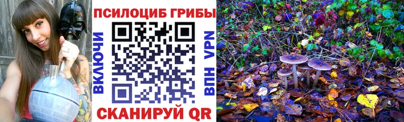 блэк спрут онион  Чапаевск  Галлюциногенные грибы Cubensis 